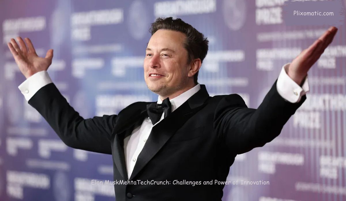 Elon MuskMehtaTechCrunch: Challenges and Power of Innovation